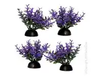 Pet stock Aqua One Catspaw/ Foreground Lobelia offer
