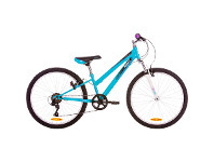 Repco Haven 24 60cm Mountain Bike offer at BIG W