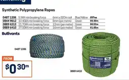 Blackwoods Bullivants Synthetic Polypropylene Ropes offer