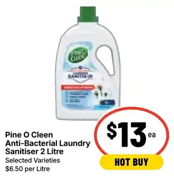 Ritchies Pine O Cleen Anti-Bacterial Laundry Sanitiser offer