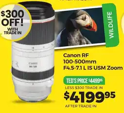Teds Cameras Canon RF 100-500mm F4.5-7.1 L IS USM Zoom offer