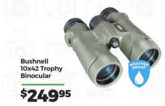 Teds Cameras Bushnell 10x42 Trophy Binocular offer