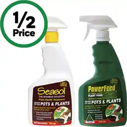 Woolworths Seasol Pots & Planters Ready To Use offer