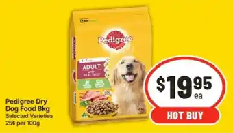 Pedigree Dry Dog Food