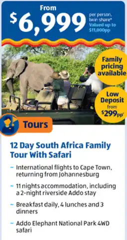 ALDI 12 Day South Africa Family Tour With Safari offer