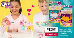 Toyworld Little Live Pets NeeDees Candy Assorted offer