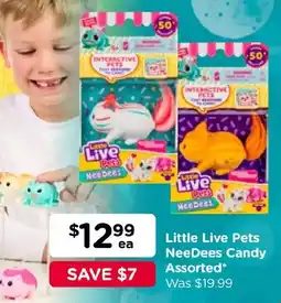 Toyworld Little Live Pets NeeDees Candy Assorted offer