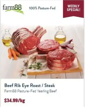 Beef Rib Eye Roast / Steak Farm88 Pasture-Fed Yearling Beef