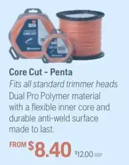 Husqvarna Core Cut - Penta offer