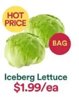 WHOLEFARMS Iceberg Lettuce offer