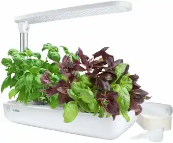 Coles SABA Veggie Box offer
