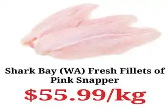 Shark Bay (WA) Fresh Fillets of Pink Snapper