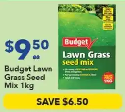 Ritchies Budget Lawn Grass Seed Mix offer