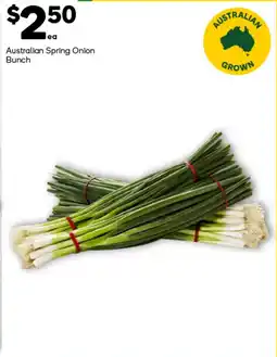 Woolworths Australian Spring Onion Bunch offer