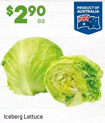 Iceberg Lettuce
