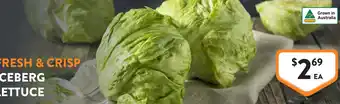 Fresh & Crisp Iceberg Lettuce