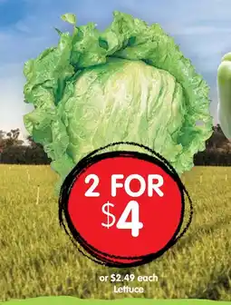 Spudshed Lettuce offer