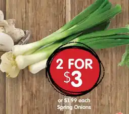 Spudshed Spring Onions offer