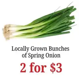 Farmer Jack's Locally Grown Bunches of Spring Onion offer