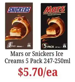 Farmer Jack's Mars or Snickers Ice Creams offer