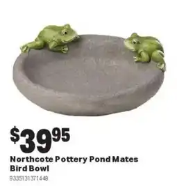 Mitre 10 Northcote Pottery Pond Mates Bird Bowl offer