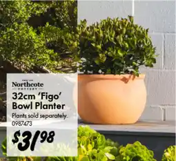 Bunnings Northcote Pottery 32cm 'Figo' Bowl Planter offer