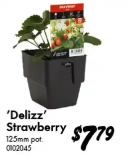 Bunnings 'Delizz' Strawberry offer