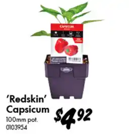 Bunnings Redskin Capsicum offer