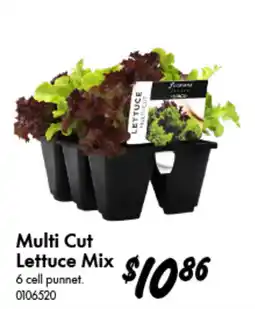 Bunnings Floriana Multi Cut Lettuce Mix offer
