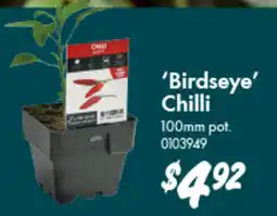 Bunnings ‘Birdseye’ Chilli offer