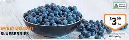 Foodworks Blueberries offer