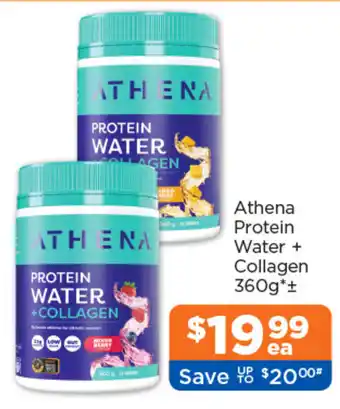 Athena Protein Water + Collagen