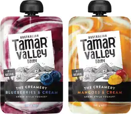 IGA Tamar Valley Greek Style Yoghurt Pouch Selected Varieties offer