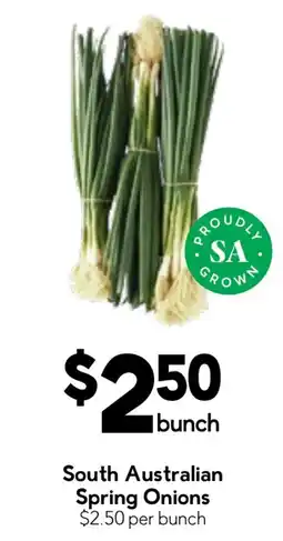 Drakes South Australian Spring Onions offer