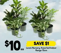 Drakes Lewis Nursery Assorted Indoor offer
