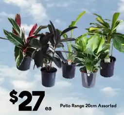 Drakes Patio Range 20cm Assorted offer