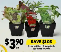 Drakes Assorted Herb & Vegetable Seedlings offer