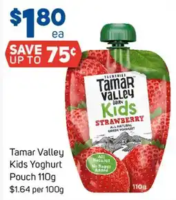 Foodland Tamar Valley Kids Yoghurt offer