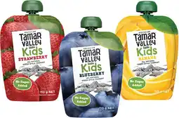 Coles Tamar Valley Dairy Kids Greek Style Yoghurt Pouch offer