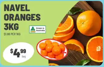 Navel Oranges