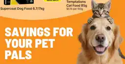 IGA Xpress Temptations Cat Food offer
