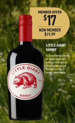 Dan Murphy's Little Giant Gamay offer