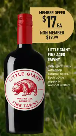 Dan Murphy's Little Giant Fine Aged Tawny offer