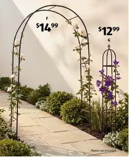 ALDI Garden Arch offer
