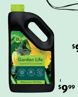 ALDI Garden Life Seaweed Concentrate offer