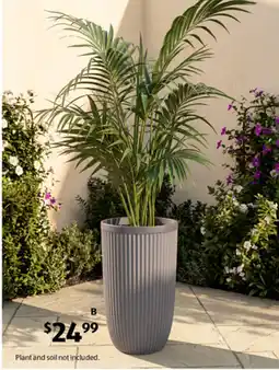 ALDI Ribbed Planter offer