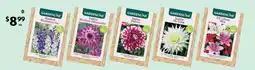 ALDI Assorted Packet Bulbs offer