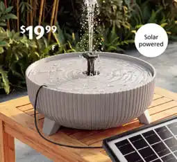 ALDI Solar powered fountain offer