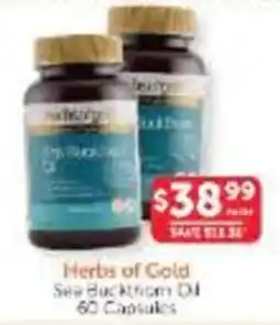 WHOLELIFE Herbs of Gold Sea Buckthorn Oil offer