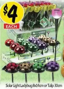NQR Solar Light Ladybug or Tulip offer